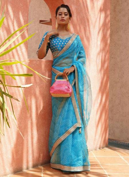 Sky Blue Colour MANJULA KARIGIRI Latest Designer Heavy Festive Wear Latest Saree Collection 3287-E